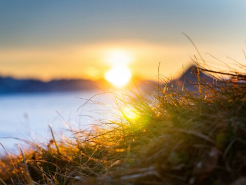Sun setting over a body of water